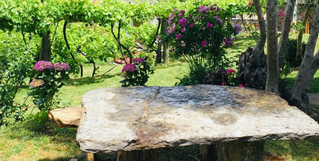 Willa Casa Lia Da Porta Caminha Zewnętrze zdjęcie